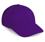 Pro Basic Cap - 6 Panel Purple