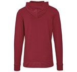 Mens Physical Hooded Sweater Red