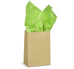 Ecological Digital Print Mini Paper Gift Bag 150gsm BG-AL-335-B_BG-AL-335-B-L-NO-LOGO-01