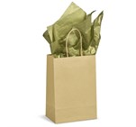 Altitude Ecological Digital Print Mini Paper Gift Bag 150gsm BG-AL-335-B-PG-AM-416-B-GD-NO-LOGO