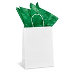 Animated Digital Print Midi Paper Gift Bag 200gsm CP-AL-1001-B_CP-AL-1001-B-G-03-NO-LOGO