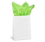 Altitude Animated Digital Print Midi Paper Gift Bag 200gsm CP-AL-1001-B-L-03-NO-LOGO