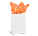 Animated Digital Print Midi Paper Gift Bag 200gsm CP-AL-1001-B_CP-AL-1001-B-O-03-NO-LOGO