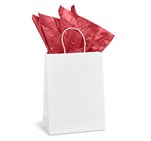 Animated Digital Print Midi Paper Gift Bag 200gsm CP-AL-1001-B_CP-AL-1001-B-PG-AM-415-B-R-03-NO-LOGO