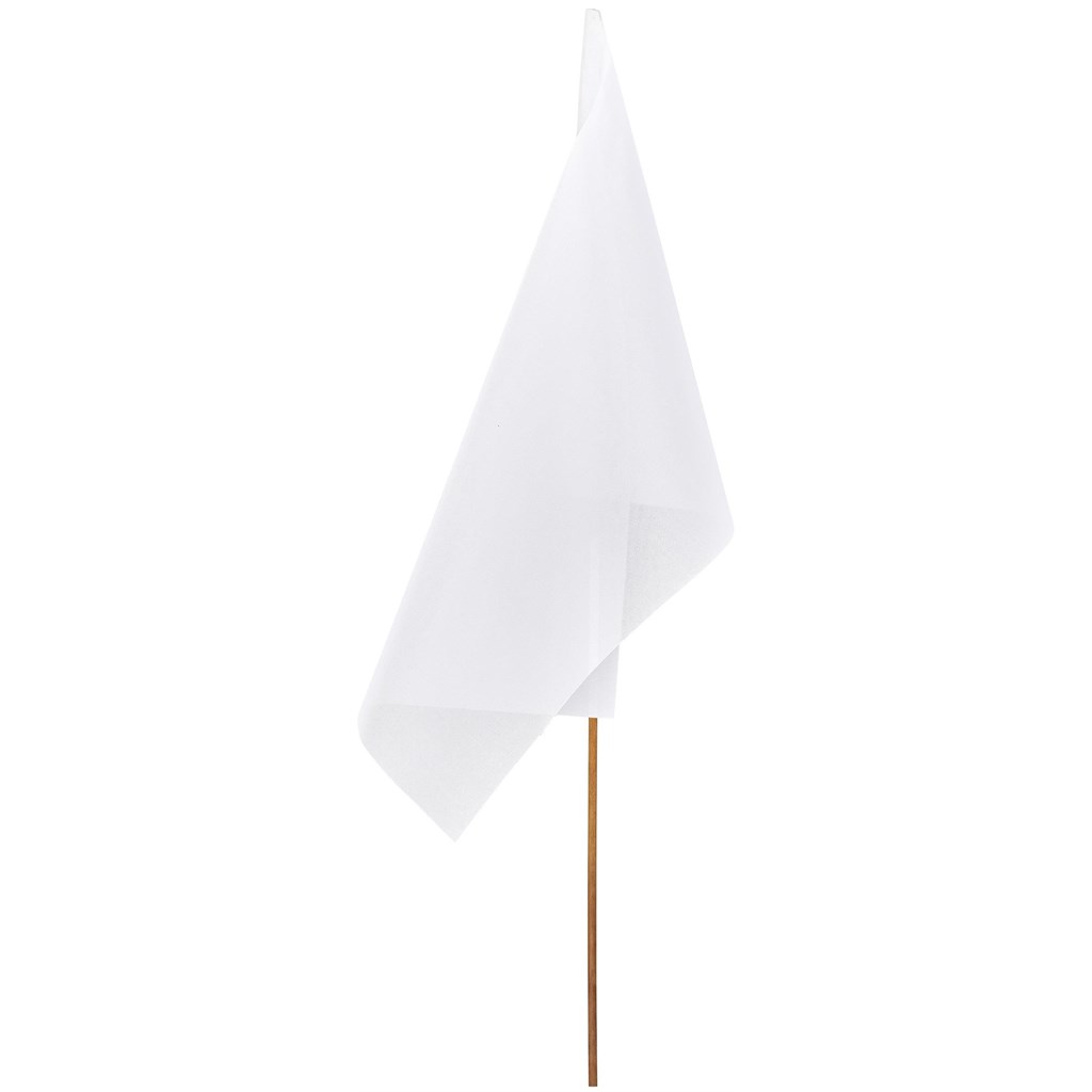 Champion Large Hand Flag 900mm x 600mm