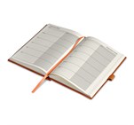 Altitude Advantage A5 2025 Diary Orange