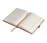 Altitude Advantage A5 2025 Diary Orange