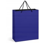 Altitude Omega Maxi Paper Gift Bag Blue