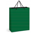 Altitude Omega Maxi Paper Gift Bag Green