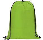 Altitude Daily 190T Drawstring Bag Lime