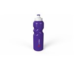 Altitude Riviera Plastic Water Bottle - 500ml Purple