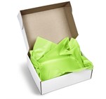 Artful Tissue Paper - Pack of 10 Sheets Lime