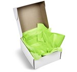 Artful Tissue Paper - Pack of 10 Sheets Lime