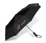 Whimsical Auto-Open Compact Umbrella Black