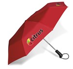 Whimsical Auto-Open Compact Umbrella Red